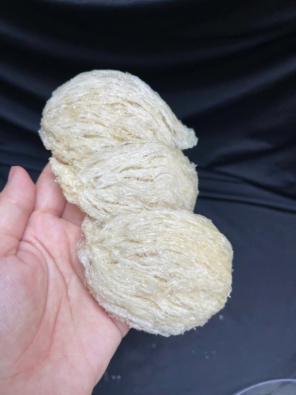 Yến rút lông đắp tổ